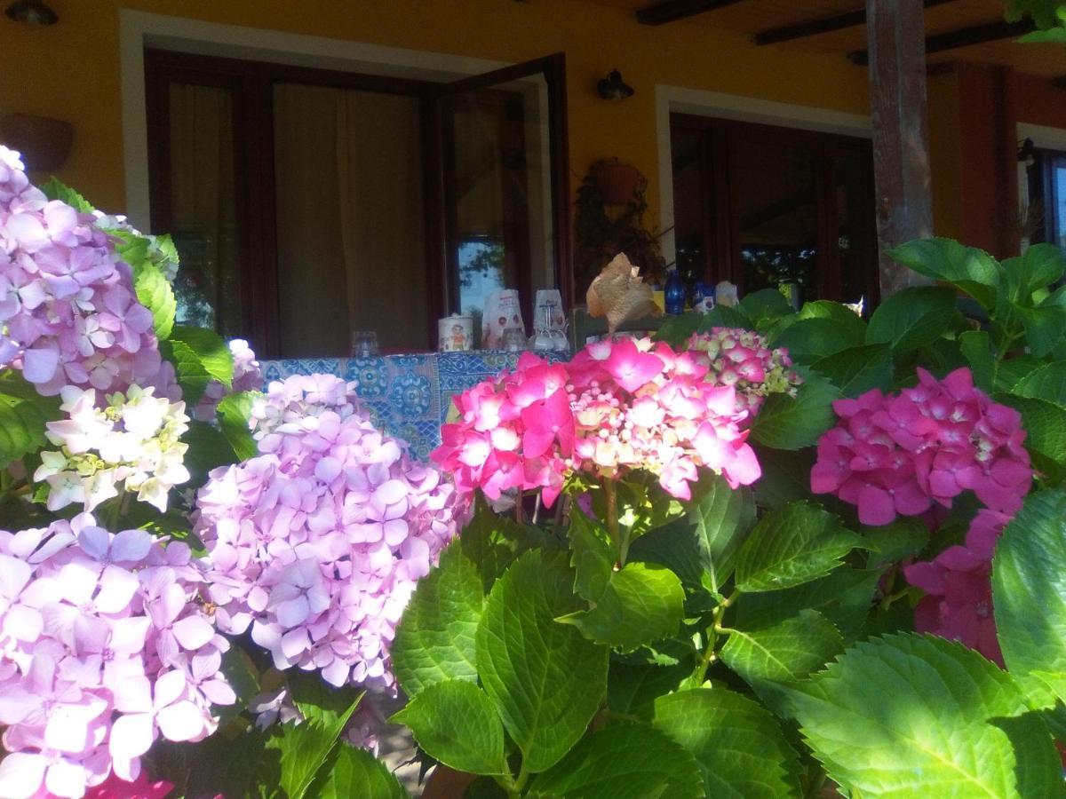 B&B Casa Per Ferie Villaggiocarovana กัสเตียดาส ภายนอก รูปภาพ