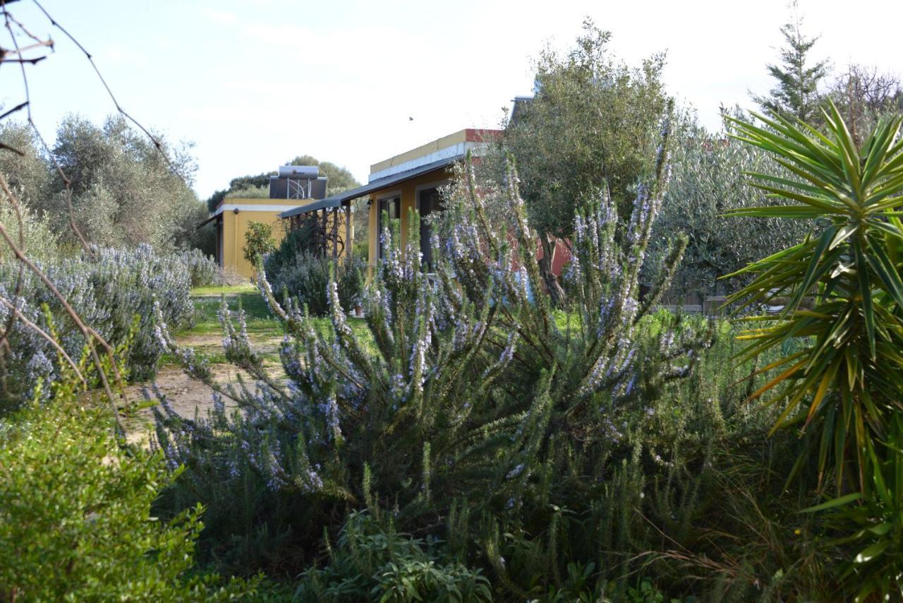 B&B Casa Per Ferie Villaggiocarovana กัสเตียดาส ภายนอก รูปภาพ