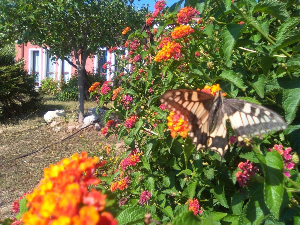 B&B Casa Per Ferie Villaggiocarovana กัสเตียดาส ภายนอก รูปภาพ