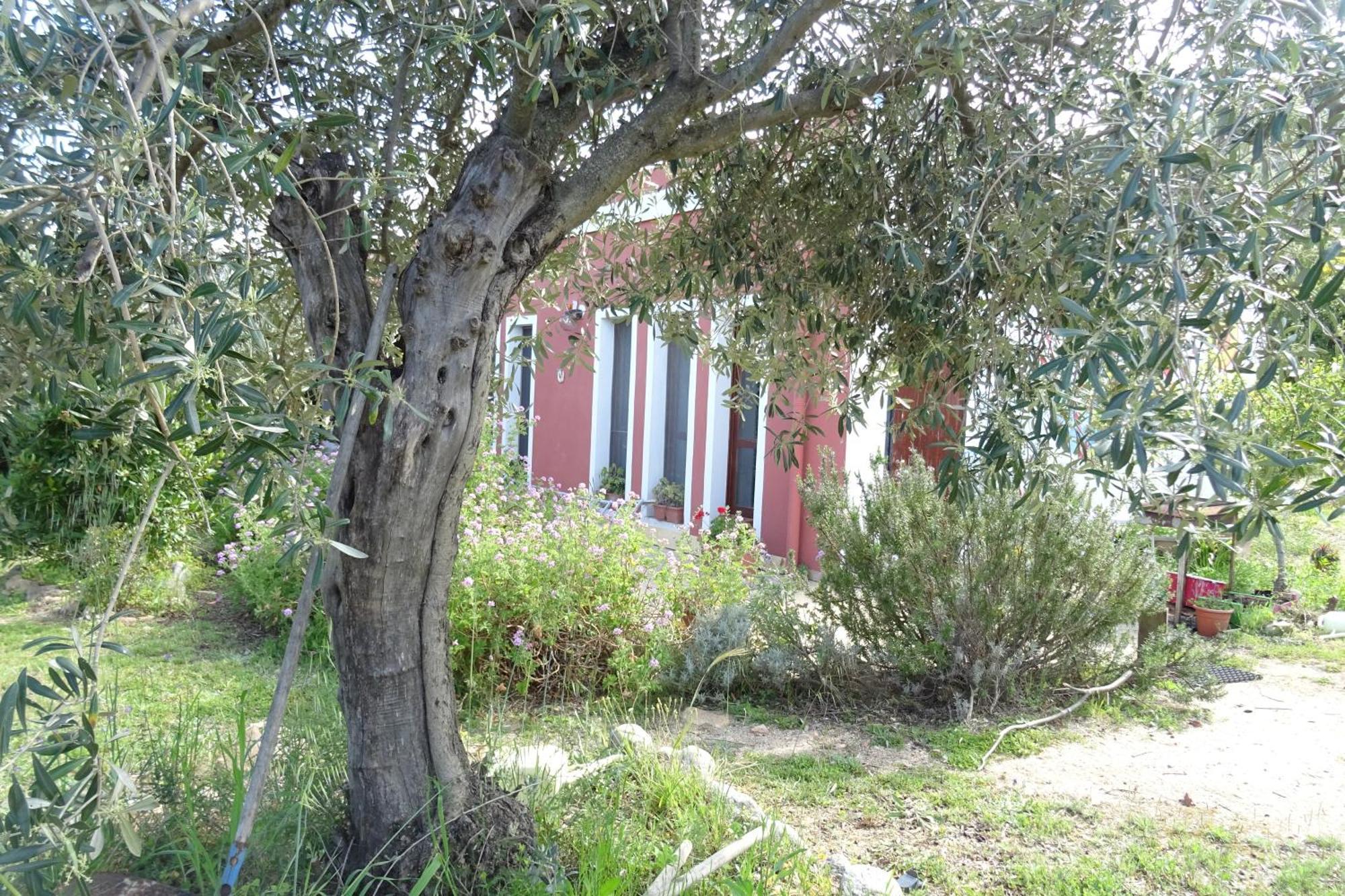 B&B Casa Per Ferie Villaggiocarovana กัสเตียดาส ภายนอก รูปภาพ
