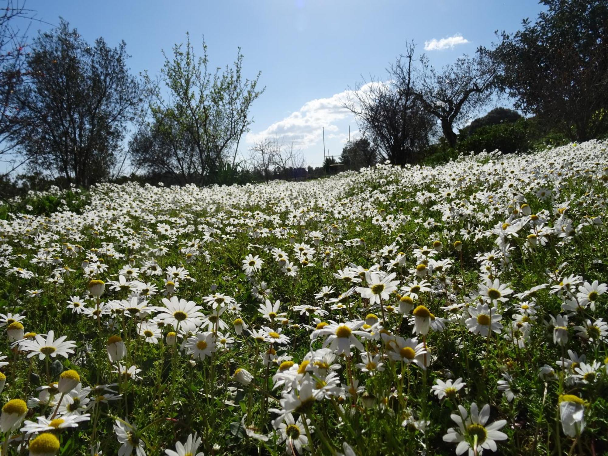 B&B Casa Per Ferie Villaggiocarovana กัสเตียดาส ภายนอก รูปภาพ