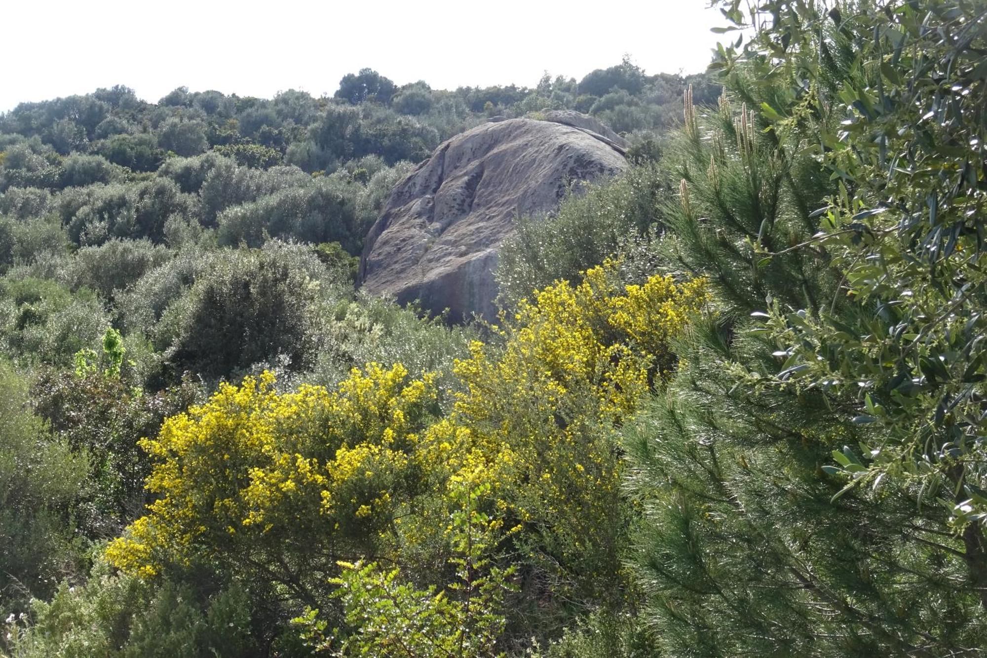 B&B Casa Per Ferie Villaggiocarovana กัสเตียดาส ภายนอก รูปภาพ
